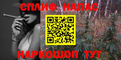 прущие грибы Донской