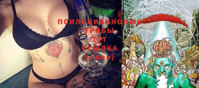 Псилоцибиновые грибы Magic Shrooms  Камышлов 