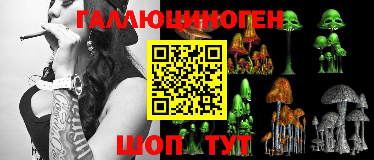 Галлюциногенные грибы GOLDEN TEACHER Камышлов