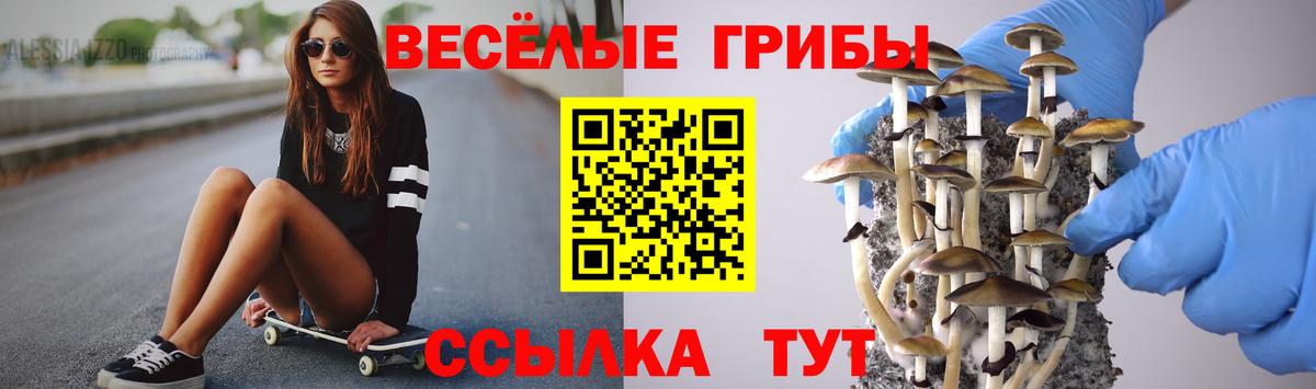 Галлюциногенные грибы прущие грибы  Вход с VPN  Камышлов 